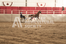 ete's Photography - Equine photography of various equine events at the Ancaster Fair including riding, driving, single carts and six draft horse hitches.