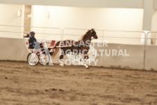 ete's Photography - Equine photography of various equine events at the Ancaster Fair including riding, driving, single carts and six draft horse hitches.