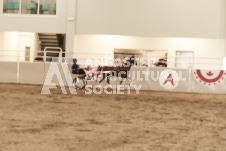 ete's Photography - Equine photography of various equine events at the Ancaster Fair including riding, driving, single carts and six draft horse hitches.