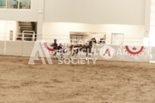 ete's Photography - Equine photography of various equine events at the Ancaster Fair including riding, driving, single carts and six draft horse hitches.