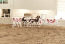 ete's Photography - Equine photography of various equine events at the Ancaster Fair including riding, driving, single carts and six draft horse hitches.