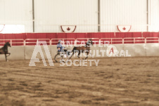 ete's Photography - Equine photography of various equine events at the Ancaster Fair including riding, driving, single carts and six draft horse hitches.