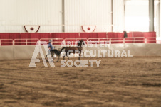 ete's Photography - Equine photography of various equine events at the Ancaster Fair including riding, driving, single carts and six draft horse hitches.