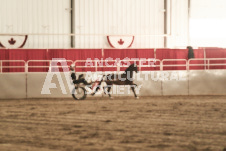 ete's Photography - Equine photography of various equine events at the Ancaster Fair including riding, driving, single carts and six draft horse hitches.