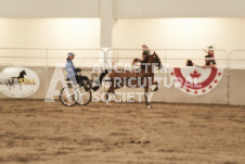 ete's Photography - Equine photography of various equine events at the Ancaster Fair including riding, driving, single carts and six draft horse hitches.