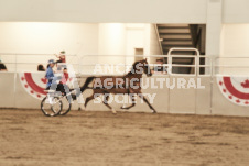 ete's Photography - Equine photography of various equine events at the Ancaster Fair including riding, driving, single carts and six draft horse hitches.