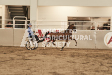 ete's Photography - Equine photography of various equine events at the Ancaster Fair including riding, driving, single carts and six draft horse hitches.