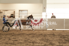 ete's Photography - Equine photography of various equine events at the Ancaster Fair including riding, driving, single carts and six draft horse hitches.