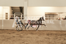 ete's Photography - Equine photography of various equine events at the Ancaster Fair including riding, driving, single carts and six draft horse hitches.