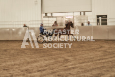 ete's Photography - Equine photography of various equine events at the Ancaster Fair including riding, driving, single carts and six draft horse hitches.