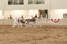 ete's Photography - Equine photography of various equine events at the Ancaster Fair including riding, driving, single carts and six draft horse hitches.