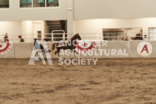 ete's Photography - Equine photography of various equine events at the Ancaster Fair including riding, driving, single carts and six draft horse hitches.