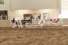 ete's Photography - Equine photography of various equine events at the Ancaster Fair including riding, driving, single carts and six draft horse hitches.