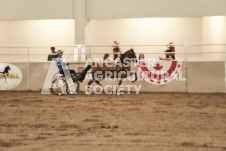 ete's Photography - Equine photography of various equine events at the Ancaster Fair including riding, driving, single carts and six draft horse hitches.