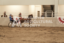 ete's Photography - Equine photography of various equine events at the Ancaster Fair including riding, driving, single carts and six draft horse hitches.