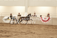 ete's Photography - Equine photography of various equine events at the Ancaster Fair including riding, driving, single carts and six draft horse hitches.