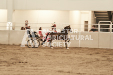 ete's Photography - Equine photography of various equine events at the Ancaster Fair including riding, driving, single carts and six draft horse hitches.