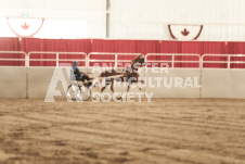 ete's Photography - Equine photography of various equine events at the Ancaster Fair including riding, driving, single carts and six draft horse hitches.