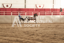 ete's Photography - Equine photography of various equine events at the Ancaster Fair including riding, driving, single carts and six draft horse hitches.