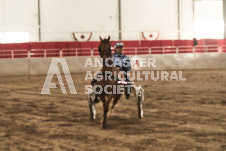 ete's Photography - Equine photography of various equine events at the Ancaster Fair including riding, driving, single carts and six draft horse hitches.