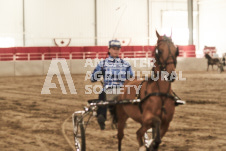 ete's Photography - Equine photography of various equine events at the Ancaster Fair including riding, driving, single carts and six draft horse hitches.