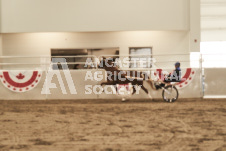 ete's Photography - Equine photography of various equine events at the Ancaster Fair including riding, driving, single carts and six draft horse hitches.