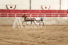 ete's Photography - Equine photography of various equine events at the Ancaster Fair including riding, driving, single carts and six draft horse hitches.