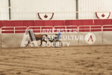 ete's Photography - Equine photography of various equine events at the Ancaster Fair including riding, driving, single carts and six draft horse hitches.