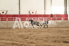 ete's Photography - Equine photography of various equine events at the Ancaster Fair including riding, driving, single carts and six draft horse hitches.