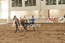 ete's Photography - Equine photography of various equine events at the Ancaster Fair including riding, driving, single carts and six draft horse hitches.