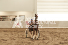 ete's Photography - Equine photography of various equine events at the Ancaster Fair including riding, driving, single carts and six draft horse hitches.