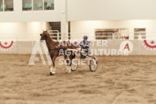 ete's Photography - Equine photography of various equine events at the Ancaster Fair including riding, driving, single carts and six draft horse hitches.