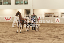 ete's Photography - Equine photography of various equine events at the Ancaster Fair including riding, driving, single carts and six draft horse hitches.