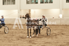 ete's Photography - Equine photography of various equine events at the Ancaster Fair including riding, driving, single carts and six draft horse hitches.