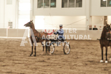 ete's Photography - Equine photography of various equine events at the Ancaster Fair including riding, driving, single carts and six draft horse hitches.