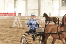 ete's Photography - Equine photography of various equine events at the Ancaster Fair including riding, driving, single carts and six draft horse hitches.