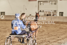 ete's Photography - Equine photography of various equine events at the Ancaster Fair including riding, driving, single carts and six draft horse hitches.