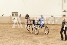 ete's Photography - Equine photography of various equine events at the Ancaster Fair including riding, driving, single carts and six draft horse hitches.