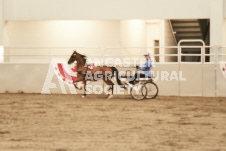 ete's Photography - Equine photography of various equine events at the Ancaster Fair including riding, driving, single carts and six draft horse hitches.