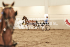 ete's Photography - Equine photography of various equine events at the Ancaster Fair including riding, driving, single carts and six draft horse hitches.