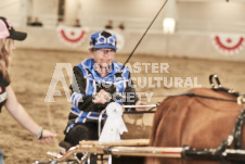 ete's Photography - Equine photography of various equine events at the Ancaster Fair including riding, driving, single carts and six draft horse hitches.