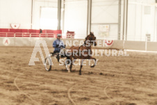 ete's Photography - Equine photography of various equine events at the Ancaster Fair including riding, driving, single carts and six draft horse hitches.