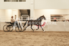 ete's Photography - Equine photography of various equine events at the Ancaster Fair including riding, driving, single carts and six draft horse hitches.