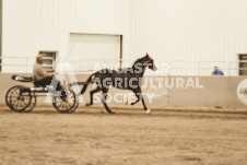 ete's Photography - Equine photography of various equine events at the Ancaster Fair including riding, driving, single carts and six draft horse hitches.