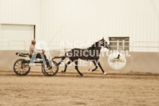 ete's Photography - Equine photography of various equine events at the Ancaster Fair including riding, driving, single carts and six draft horse hitches.