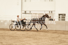 ete's Photography - Equine photography of various equine events at the Ancaster Fair including riding, driving, single carts and six draft horse hitches.