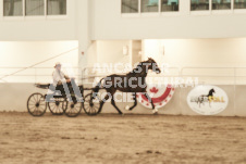 ete's Photography - Equine photography of various equine events at the Ancaster Fair including riding, driving, single carts and six draft horse hitches.