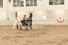 ete's Photography - Equine photography of various equine events at the Ancaster Fair including riding, driving, single carts and six draft horse hitches.