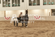 ete's Photography - Equine photography of various equine events at the Ancaster Fair including riding, driving, single carts and six draft horse hitches.