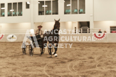 ete's Photography - Equine photography of various equine events at the Ancaster Fair including riding, driving, single carts and six draft horse hitches.